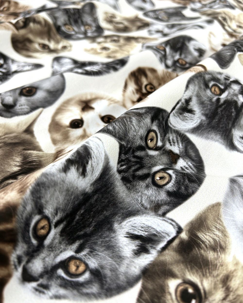 猫まみれシャツ | CRAYON ONLINE STORE